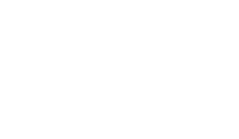 CHATEAU DU VIN